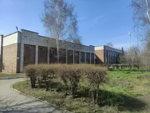 Фотография Подсолнух 1