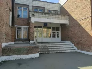 Фотография Подсолнух 2